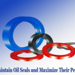 How to Maintain Oil Seals and Maximize Their Performance