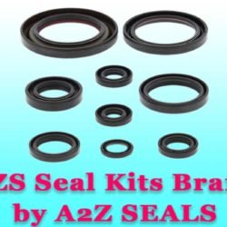 AZS Oil Seal Kits Brand by A2Z SEALS