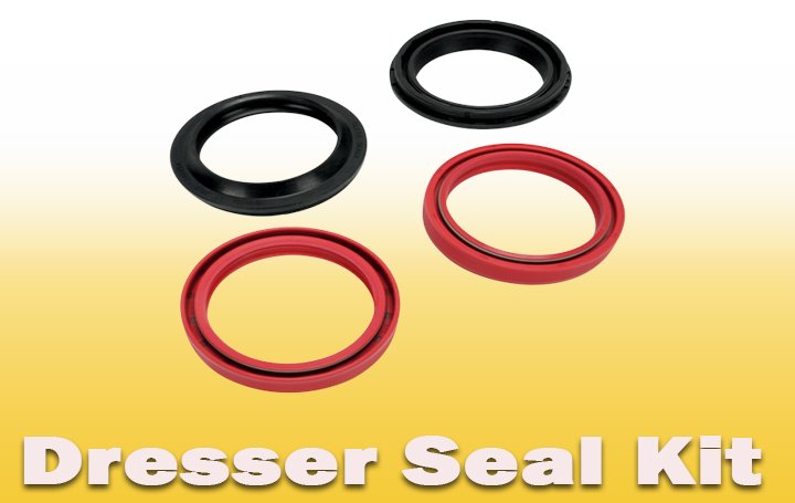 Dresser Seal Kit A2zseals Seals Seal Kits And Oil Seals