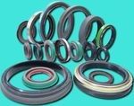 Oil Seals